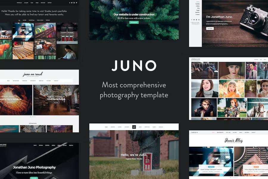 Juno - Photography