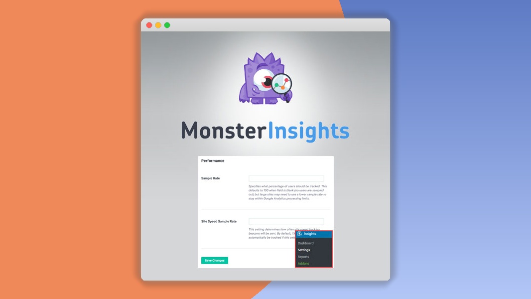 MonsterInsights – Performance Addon