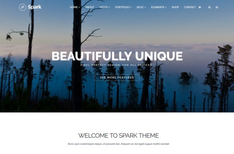 VisualModo Spark WordPress Theme