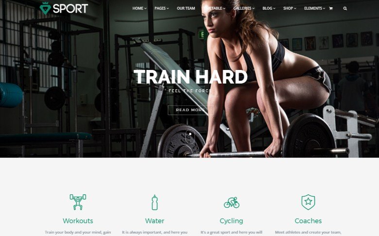 VisualModo Sport WordPress Theme