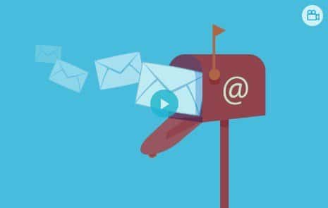 WPMU DEV E-Newsletter