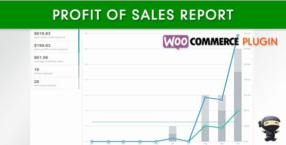 WooCommerce Profit of Sales Report