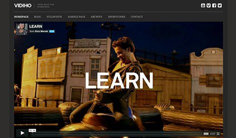 CSS Igniter Vidiho WordPress Theme