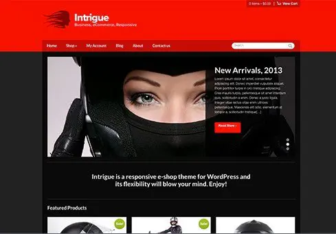 CSS Igniter Intrigue WordPress Theme