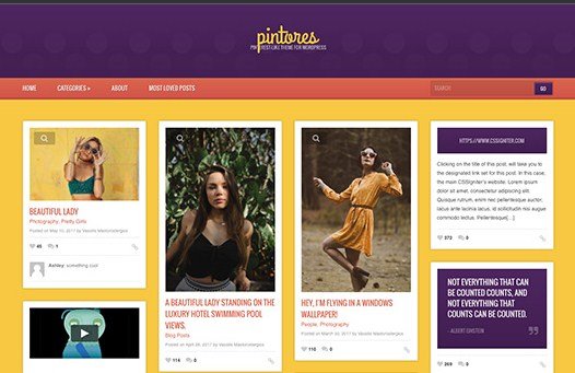 CSS Igniter Pintores WordPress Theme
