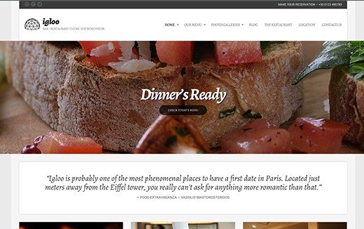 CSS Igniter Igloo WordPress Theme
