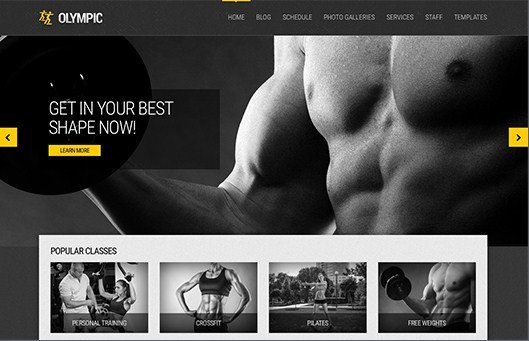CSS Igniter Olympic WordPress Theme