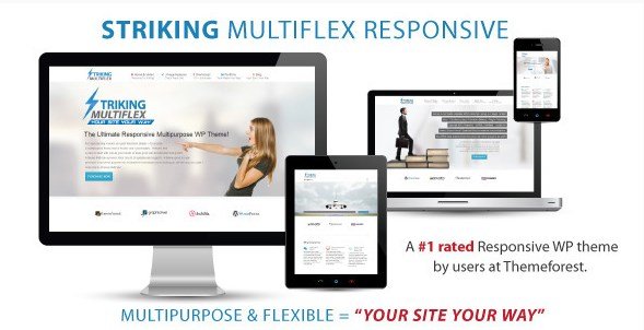 Striking - MultiFlex & Ecommerce Responsive WP Theme