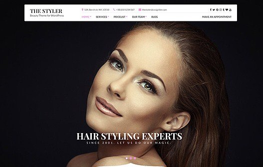 CSS Igniter The Styler WordPress Theme
