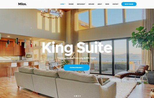 CSS Igniter Milos WordPress Theme