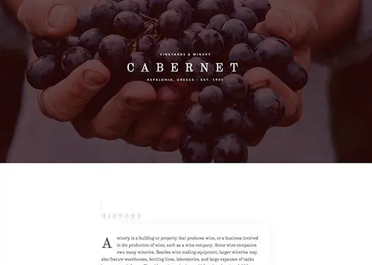 Elementorism Cabernet Landing Page