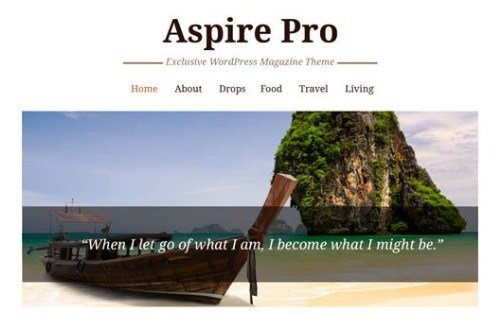 CyberChimps AspirePro WordPress Theme