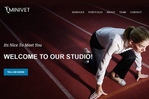 CyberChimps Minivet WordPress Theme