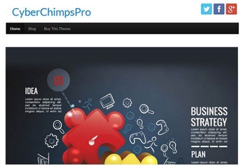 CyberChimps CyberChimps Pro WordPress Theme