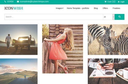 CyberChimps Iconwish WordPress Theme