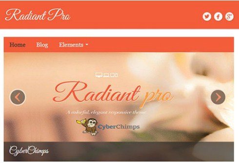 CyberChimps Radiant Pro WordPress Theme