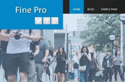 CyberChimps Fine Pro WordPress Theme