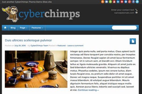 CyberChimps iFeature Pro 5 WordPress Theme
