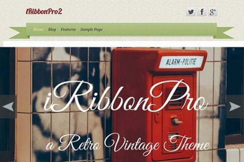 CyberChimps iRibbon Pro 2 WordPress Theme