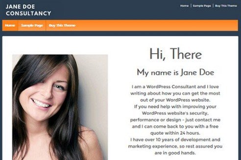 CyberChimps Responsive Pro WordPress Theme
