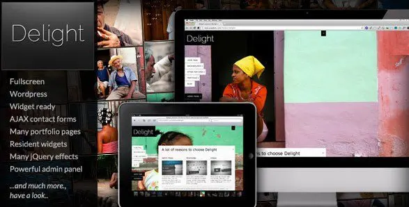 Delight Fullscreen Wordpress Portfolio Theme