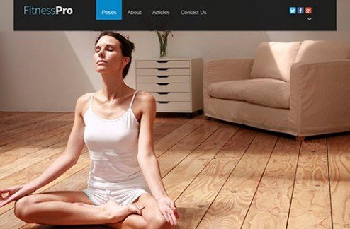 CyberChimps Fitness Pro WordPress Theme
