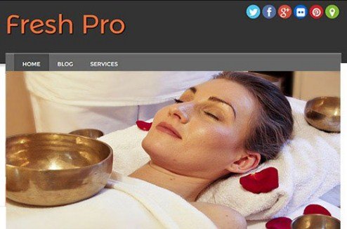 CyberChimps Fresh Pro WordPress Theme