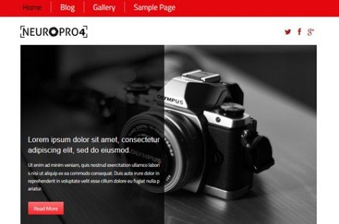 CyberChimps Neuro Pro 4 WordPress Theme