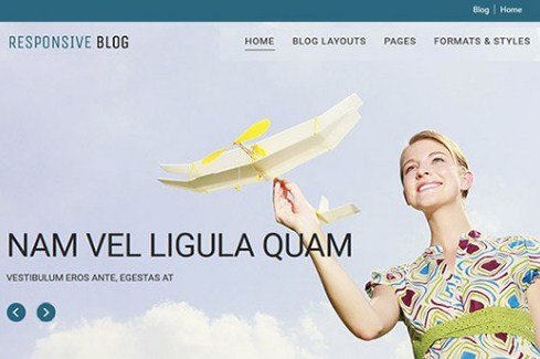 CyberChimps Responsive Blog WordPress Theme