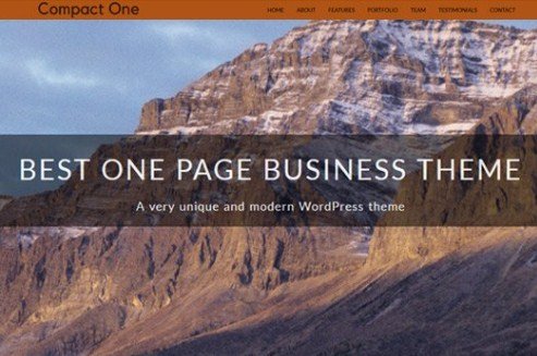 CyberChimps Compact One Pro WordPress Plugin