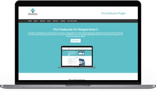 CyberChimps Pro Features WordPress Plugin