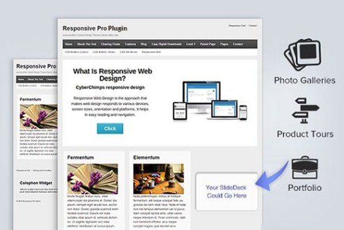 CyberChimps Responsive Pro WordPress Plugin