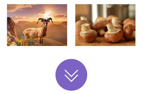 Themify Builder Infinite Posts Addon