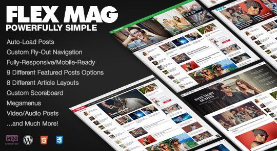 Flex Mag - Responsive WordPress News Theme