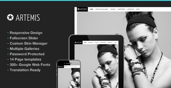 Artemis Photography Gallery Portfolio Theme
