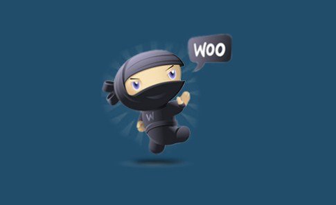 WP Rich Snippets WooCommerce Reviews Addon