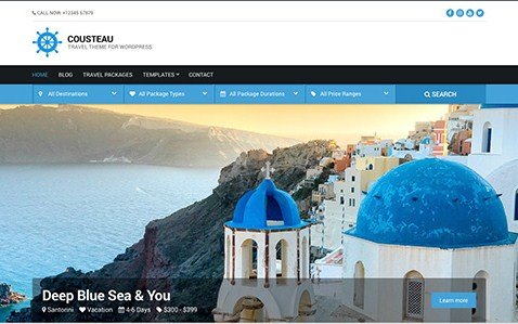 CSS Igniter Cousteau WordPress Theme