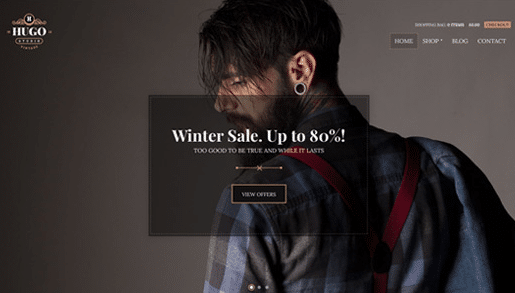 CSS Igniter Hugo WordPress Theme