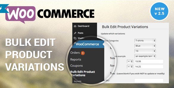 Woocommerce Bulk Edit Variable Products & Prices