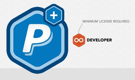 Rocket Genius Gravity Forms Paypal Payments Standard Addon