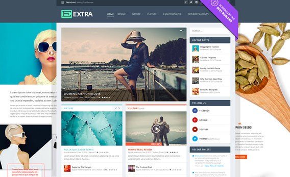 Elegant Themes Extra Wordpress Theme