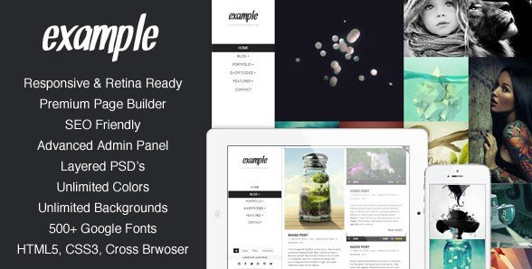 Example - Responsive & Retina Portfolio WP Theme