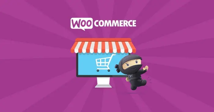 WooCommerce Drip