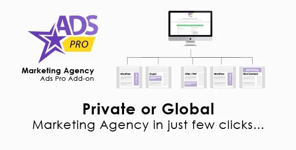Ads Pro Add-on - WordPress Marketing Agency