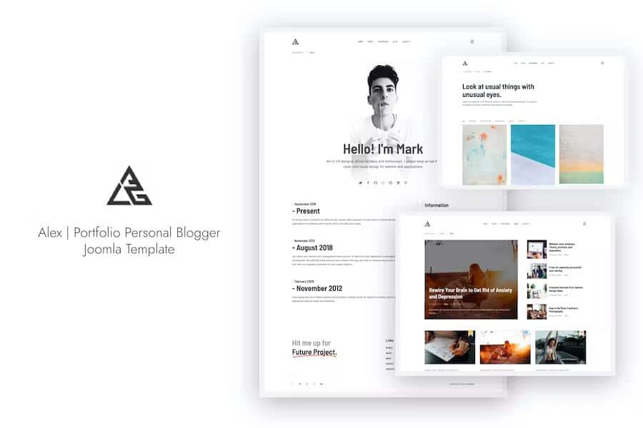 Alex - Portfolio Personal Blogger Joomla 4 Template