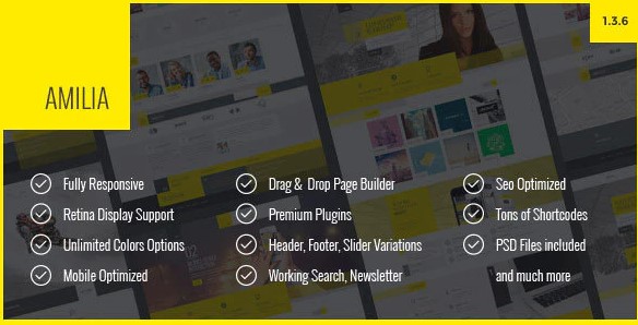 Amilia - Multipurpose One & Multi Page WP Theme