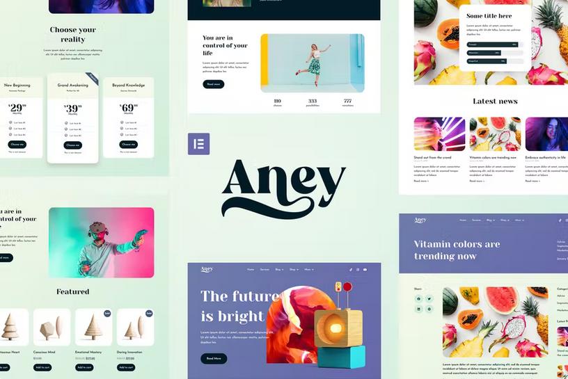 Product preview supplied for Aney - Vibrant Elementor Template Kit