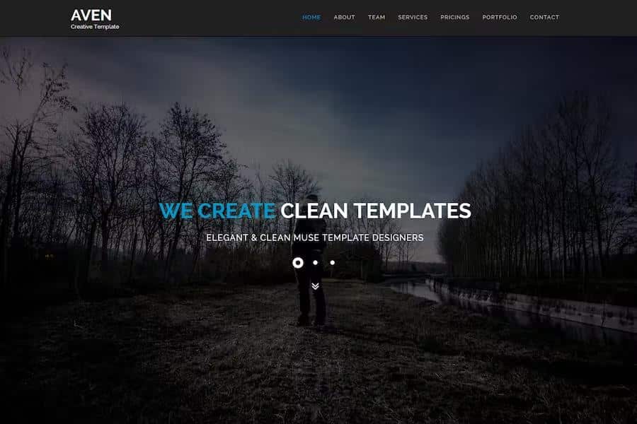 Aven - Multipurpose Parallax HTML Template