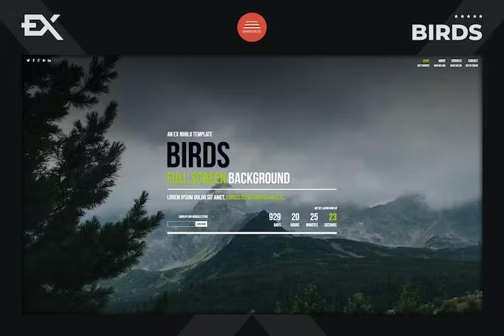 Product preview supplied for Birds - Responsive Coming Soon Page