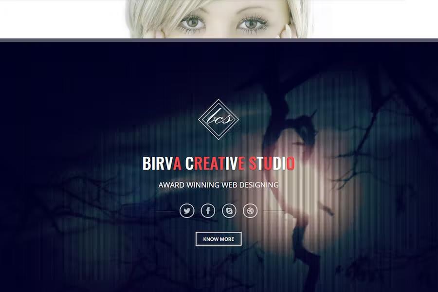 Birva -  Bootstrap Parallax One Page Template